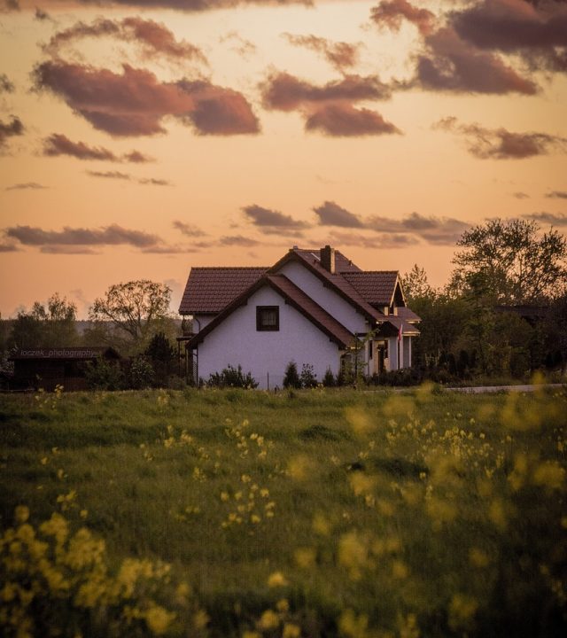 house, meadow, grass-6115719.jpg